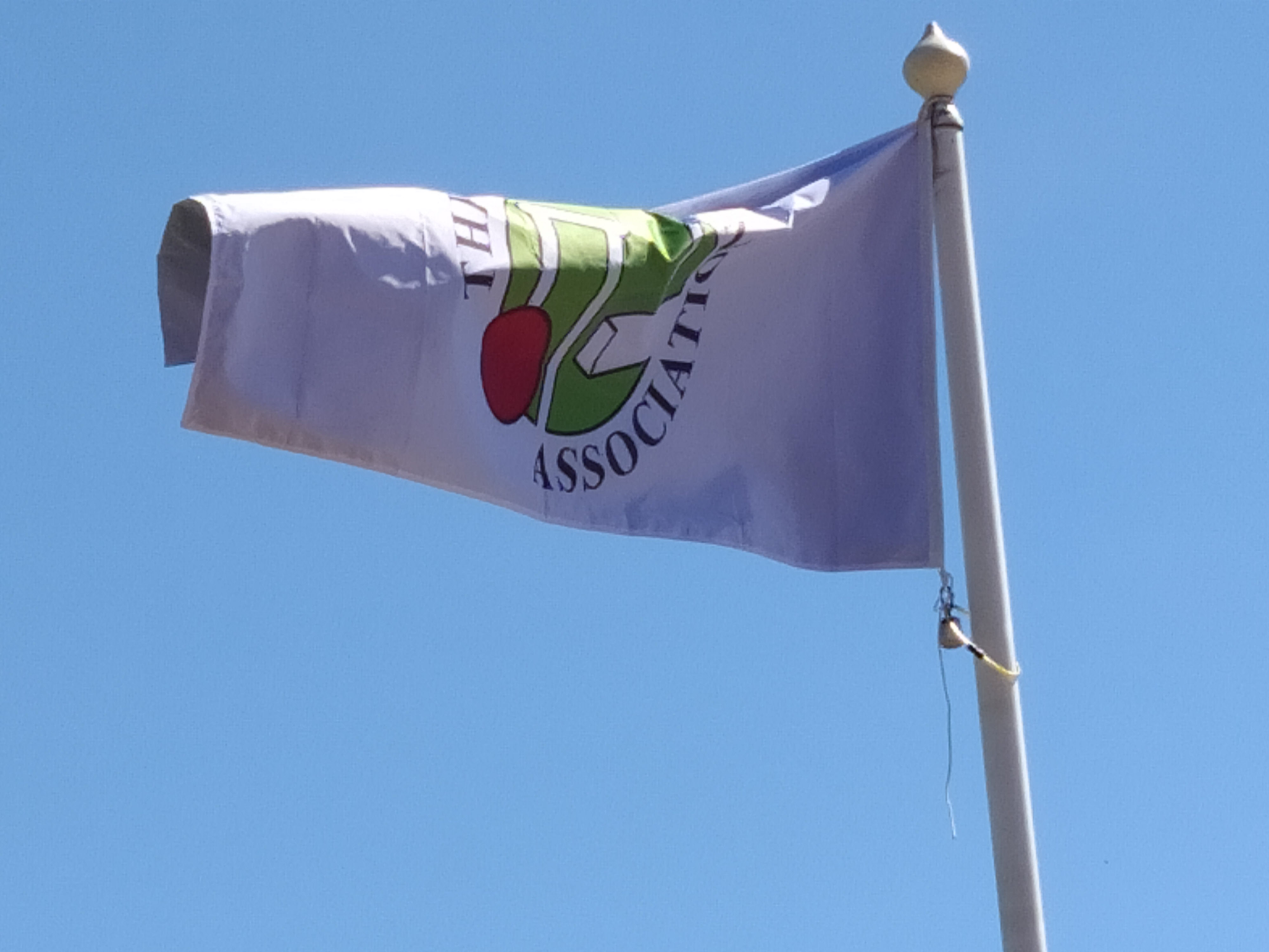 Croquet Association Flag